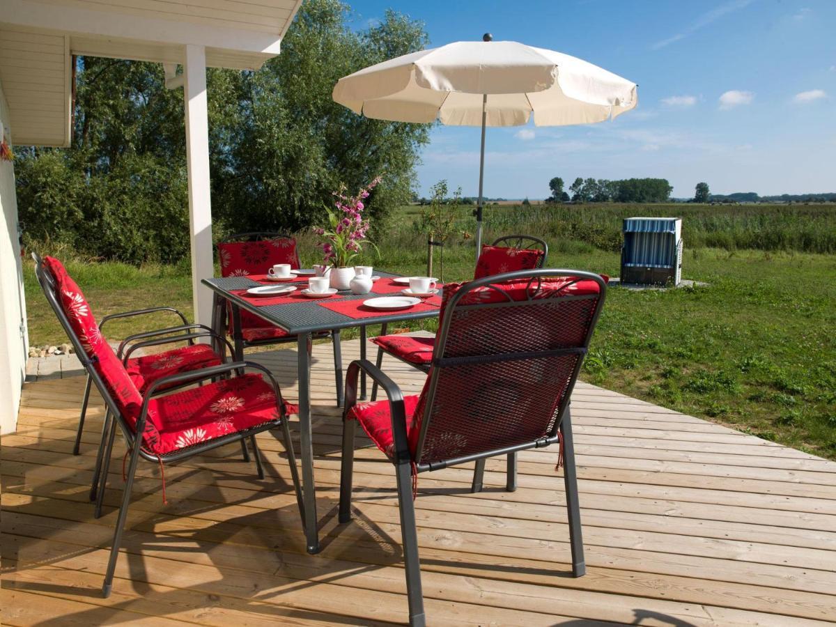 Daenische Ferienhaeuser Am Salzhaff Haus Vogelparadies Insel Poel Exterior photo